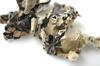 SP Spices Indian Natural Stone Flower Organic Dagad Phool Whole Kalpasi Spice Pathar Ke Phool Pack of 50 Grams view 2