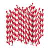 DelightBox Premium Biodegradable Disposable Drinking Striped Paper Straws (Red) view 1