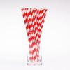 DelightBox Premium Biodegradable Disposable Drinking Striped Paper Straws (Red) view 2