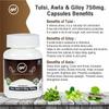 Tulsi Awla Giloy Ayurvedic Immunity Wellness Capsules -(Pack of 3) view 4