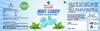 Dhawak Mint Candy 300 gms |Mint Flavoured Candy| Pudina Flavour Candy [Jar Pack] view 2