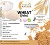 Organic Nature MP Sharbati Wheat Fresh from Farms | No Mixture | No Preservatives | Washed and Dried (Pack of 5 Kg) view 3