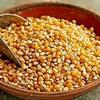 VS Products Corn Kernel Seeds 850g, Makka Popcorn, Popcorn Kernels,Raw Maize, Ready to cook, 850g(Pack of 8 X 100g, Pack of 1 x 50g) view 4