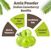 CARMEL ORGANICS Amla Fruit Powder | 800 grams(Pack of 1) | Jaivik Bharat Certified | Indian gooseberries | Malanelli,Amalakkamu,Usirikai Powder | No Added Preservatives view 3