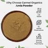 CARMEL ORGANICS Amla Fruit Powder | 800 grams(Pack of 1) | Jaivik Bharat Certified | Indian gooseberries | Malanelli,Amalakkamu,Usirikai Powder | No Added Preservatives view 4