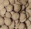 SR Foods Kerala Special Home Made Choco Biscuit With Sugar Coated | Crispy And Tasty Cookies | Coin Biscuits | Drop Biscuits | Tiffin Biscuits | Naaril Bisuits | 90's Kids Biscuits (950g) view 3
