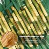 5 Inch Short Biodegradable Cocktail Straws 200 pcs Compostable Cocktail Stirrers Straws Made from 100% Sugarcane Fiber A Plasticless Sturdy Drinking Straws for Hot and Cold Drinks Not Foggy view 3