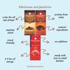 Granomaxx Cranberry Cashew/Rich Cocoa Coffee with Protein Bars, No Preservatives/No Sugar Added, Energy Fudge Bars Combo Set, Pack of 8 (50g Each) view 3