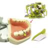 NMD Dental Wedge Guard With Metal (Small) (50pcs/1pack) view 3