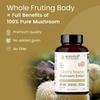 Rooted Active's Lion's Mane Mushroom for Brain Health Support - Mushroom Support for Focus & Memory Function - Immune & Nervous System Supplement | 60 Caps view 2
