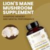 Rooted Active's Lion's Mane Mushroom for Brain Health Support - Mushroom Support for Focus & Memory Function - Immune & Nervous System Supplement | 60 Caps view 3