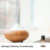 VEDANUM Premium Essential Oil for Aromatherapy, Oil Diffuser, Aroma Burner, Home Dcor Activities - 15 ML Organic Concentrate ||Pack Of 2|| (Cinnamon and Ginger) view 4