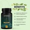 Ambrosial Brahmi Tablets 500 mg EACH Bacopa Monnieri Capsules | High Strength Brain Nootropics supplements to Focus, Mental Performance & Energy (Pack of 2-120 Capsules) view 4