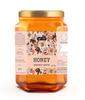 Agri Club Kashmir Multy Honey 500g view 1