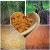 NPPV ORGANICS Natural Filtered Country Sugar/Nattu Sakkarai 100% Pure & Organic (1 Kg) view 4