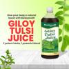 Baidyanath Giloy Tulsi Herbal Juice - 1000ml | Helps Boost Immunity & Promotes Good Health | Supports Respiratory Wellness (Pack of 1) view 4