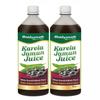 Baidyanath Karela Jamun Juice (2l, 1l X 2) | Natural Remedy For Blood Sugar Management | Helps in Reducing the Bad Cholesterol Levels & Improves overall Health and Wellness view 1