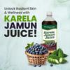 Baidyanath Karela Jamun Juice (2l, 1l X 2) | Natural Remedy For Blood Sugar Management | Helps in Reducing the Bad Cholesterol Levels & Improves overall Health and Wellness view 3