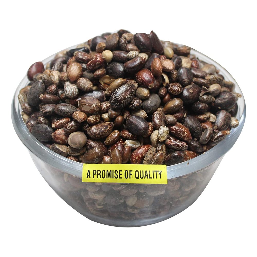 My God Gift CASTOR OIL SEEDS, ARANDI BEEJ, ARNADI SEEDS, CASTOR SEEDS Seed (100 per packet) Free Special Hazma Churan - (20 Gram) Digestive Churna