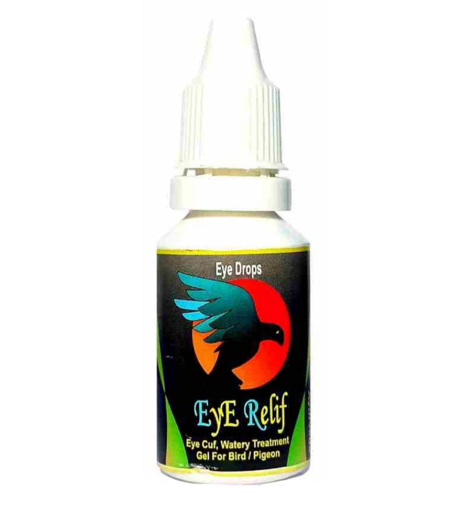 Pigeon Eye FLU Treatment || Eye Relief || Medicine by Dr. Rajvir Grewal || Pigeon Treatment Medicine || Pigeon Products || PDX Bird Care Centre