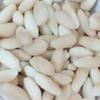 CHASKA BITE Coconut Peda Soft & Chewy Toffee | Real Peda Toffee |Candy | Milk Toffee |(200 G) view 3