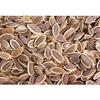 3V PRODUCTS: Sathakuppai Powder - Pack 2x50 grams - Dill Seed | Suwa Seed | Pencedanum Grande view 2