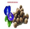 Easy Grow Seedballs-Growable Seed Balls Of Shankhpushpi(Aparajitha/Clitoria Ternatea(Blue)(1 Gift Potli Bag Pack Of 10 Seed Balls) With Red And Green Amaranthus Seeds view 4