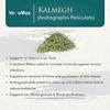 VedoMax Kalmegh | Nilevembu | Kalmegh Crushed | Andrographis paniculata - 200 gm view 2