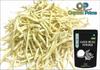 Organic Prime Pack Of 5 Gokhru Powder, Safed Musli Kaunch, Ashwagandha and Shatavari Powder (100 GM Each) Combo Pack = 500 GM By Organic Prime view 3