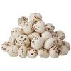 SAINIK'S Dry Fruit Mall Handpicked Lotus Seeds | Fox Nuts Big Size Phool Makhana | Pop/Gorgon Nut Puffed Kernels - 750 Grams view 1
