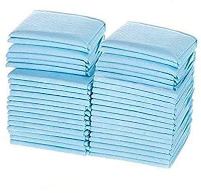 Wellstar Incontinence Underpads (Pack of 100 pcs, Blue, Size- 60 X 90 cms) Disposable Fabric with Super Absorbent Polymer for Bedwetting Protection