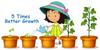 Green World Mustard Cake Organic Fertiizer for Gardening (500 Gms) view 4