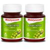 Baidyanath Amlaki (Amla) 60 Tablets (Pack of 2) - Natural Health Booster for Enhanced Hair, Skin, Digestive Health, Metabolism Support and Sugar Level Management view 1