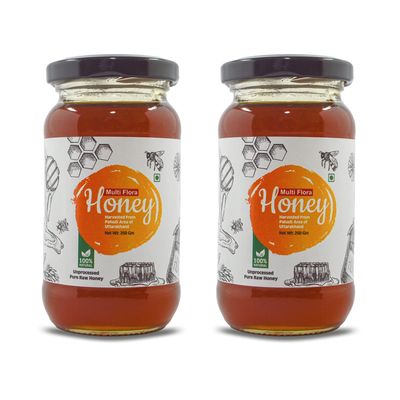 Goldwyn Honey: Multiflora Raw Honey | 100% Pure & Natural | Organic Honey | Unprocessed  Unfiltered  Unpasteurized | Single Origin  No Additives - Ethically Sourced | Ayurvedic (Pack: 2 x 250 Gm)