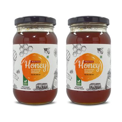 Goldwyn Honey: Multiflora Raw Honey | 100% Pure & Natural | Organic Honey | Unprocessed  Unfiltered  Unpasteurized | Single Origin  No Additives - Ethically Sourced | Ayurvedic (Pack of 2 x 500 Gm)