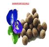 Easy Grow Seed balls-Growable Seed Balls Of Shankhpushpi(Aparajitha/Clitoria Ternatea(Blue)(1 Gift Jute Bag Pack Of 10 Seed Balls) With Red And Green Amaranthus Seeds view 3