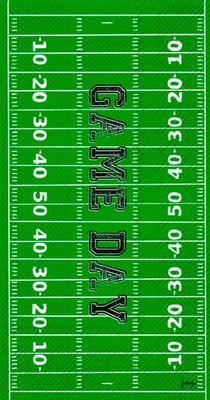 Boston International IHR 3-Ply Paper Napkins, 16-Count Guest Size, Game Day Field
