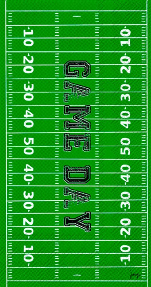 Boston International IHR 3-Ply Paper Napkins, 16-Count Guest Size, Game Day Field
