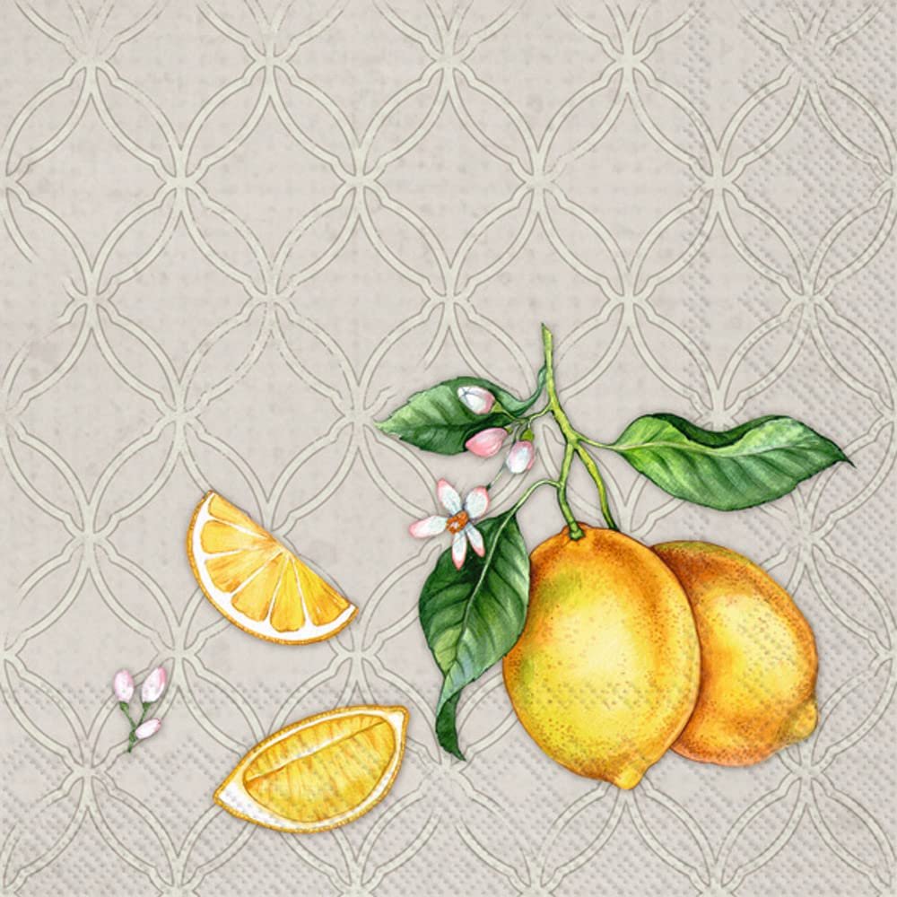 Boston International IHR 3-Ply Paper Napkins, 20-Count Cocktail Size, Citrons Grey