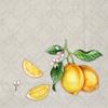 Boston International IHR 3-Ply Paper Napkins, 20-Count Cocktail Size, Citrons Grey view 1