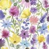 Boston International IHR 3-Ply Paper Napkins, 20-Count Lunch Size, Summer Floral Cream view 1