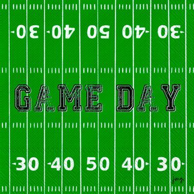Boston International IHR 3-Ply Paper Napkins, 20-Count Cocktail Size, Game Day Field