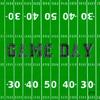 Boston International IHR 3-Ply Paper Napkins, 20-Count Cocktail Size, Game Day Field view 1