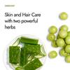 Kapiva Aloe Vera + Amla Juice (2L) | Cold-pressed Juice for Glowing Skin | Helps with Acne and Metabolism - Super Saver Pack of 2 view 2