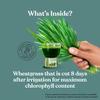 Kapiva Aloe and Amla Juice + Wheatgrass Juice | Ayurvedic Combo for Better Digestion, General Wellness, Skin and Hair Care (1L+1L) view 4