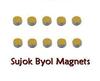 ACP ACUPRESSURE Sujok Therapy Kit (Byol Magnet 40pc, Star Magnet 40pc and Paper Tape 2pc) view 2