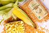 Farmbean Popcorn Makka (Makai) - 500 Gms view 2
