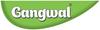 Gangwal Vanilla Cake Instant Mix 200g | Eggless Premix | Just Add Water, Mix & Bake | Soft, Fluffy Homemade Cake | Quick Dessert for Birthdays, Anniversaries, Kids Parties & Family Celebrations view 4