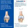 Collasmart-A UC-II Undenatured Type 2 Collagen with Plant Extract - Aflapin (Boswellia Serrata)|60 Mini Capsules (Pack of 6), 70 grams view 3