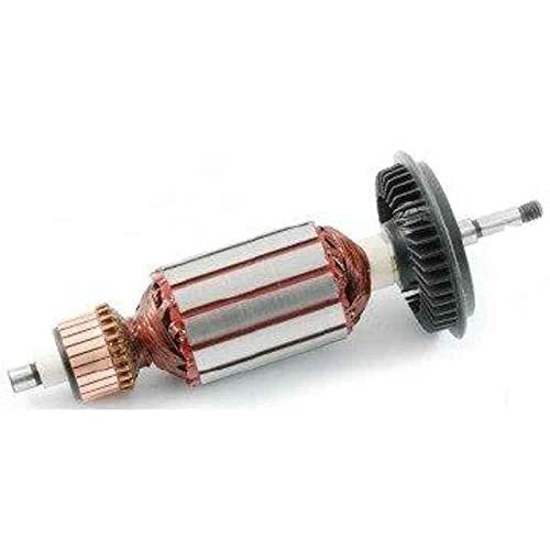 Sauran GSB 10 RE 2609120232 Armature
